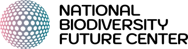 Logo NBFC RGB