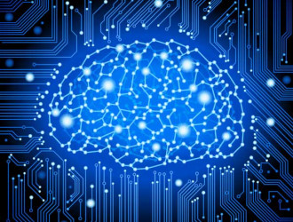 Mind 18 Circuit Brain 1