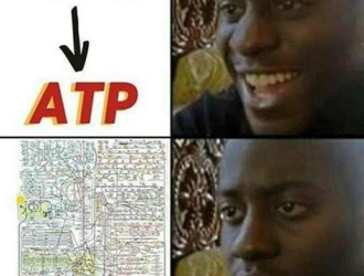 Glucose ATP MEME