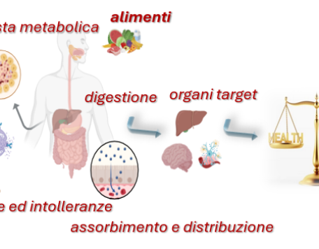 alimentazione v3