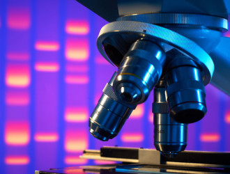 Body 26 Microscope