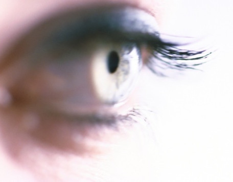 Body 38 Eye