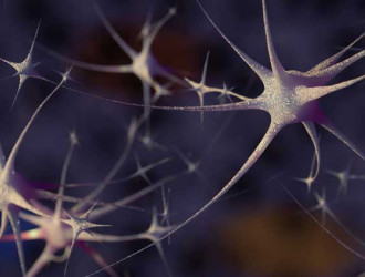 Mind 02 Neuron