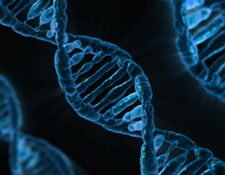 dna 163466 1280